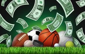 The Heart of Competition Unraveling the Stories Behind Sportdrama.co.in